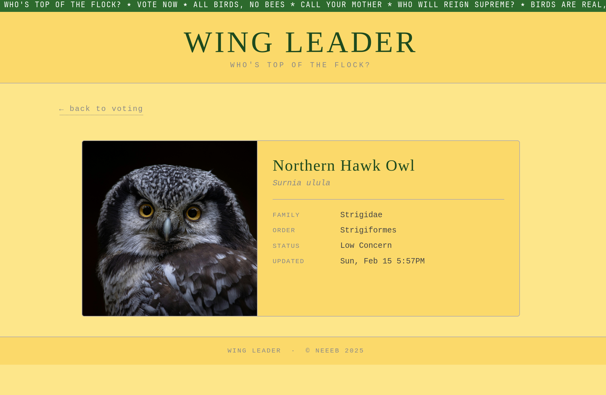 Wing leader bird profile