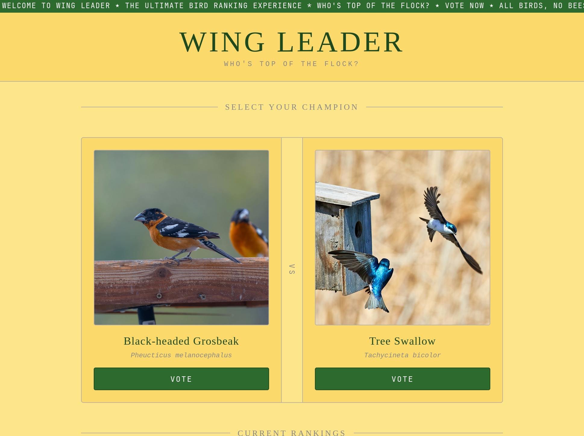 Wing leader homepage